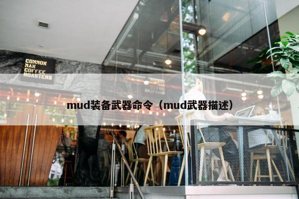 mud装备武器命令（mud武器描述）