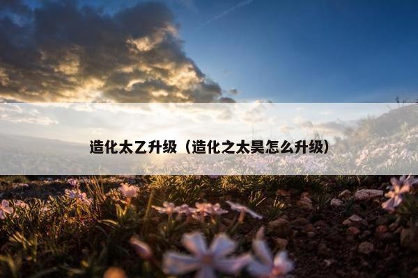 造化太乙升级（造化之太昊怎么升级）