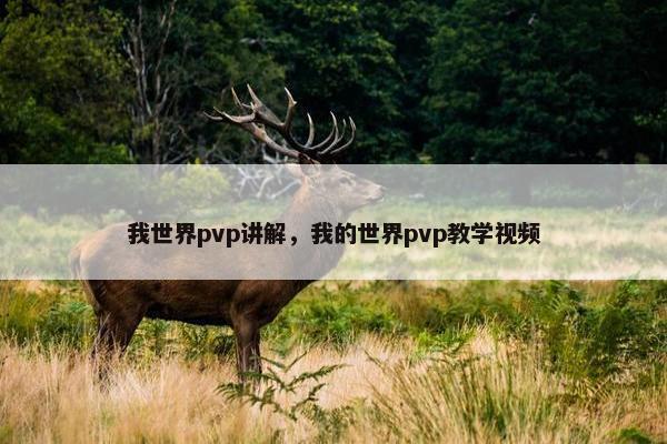 我世界pvp讲解，我的世界pvp教学视频