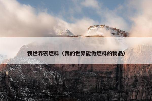 我世界碗燃料（我的世界能做燃料的物品）