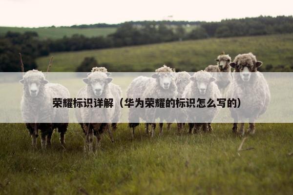 荣耀标识详解（华为荣耀的标识怎么写的）
