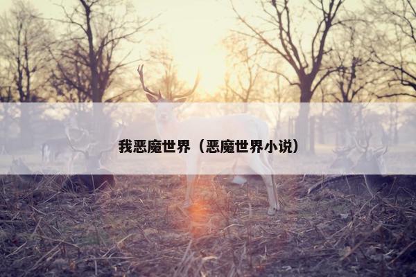我恶魔世界（恶魔世界小说）