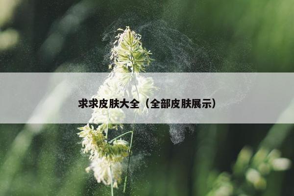 求求皮肤大全（全部皮肤展示）