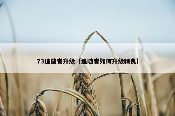 73追随者升级（追随者如何升级精良）