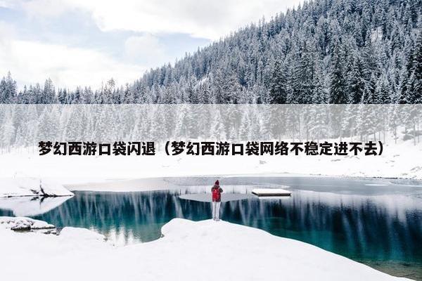 梦幻西游口袋闪退（梦幻西游口袋网络不稳定进不去）