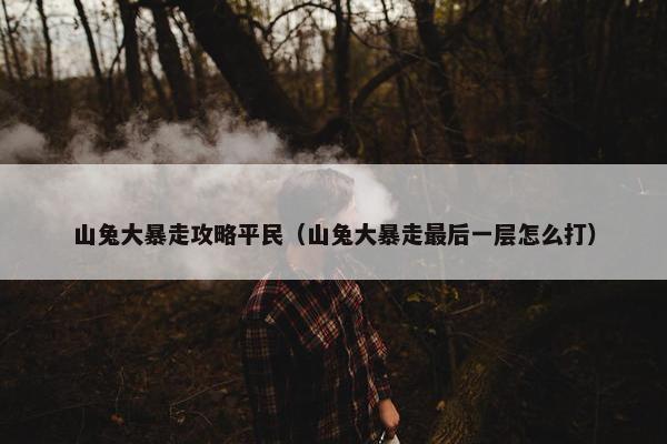 山兔大暴走攻略平民（山兔大暴走最后一层怎么打）