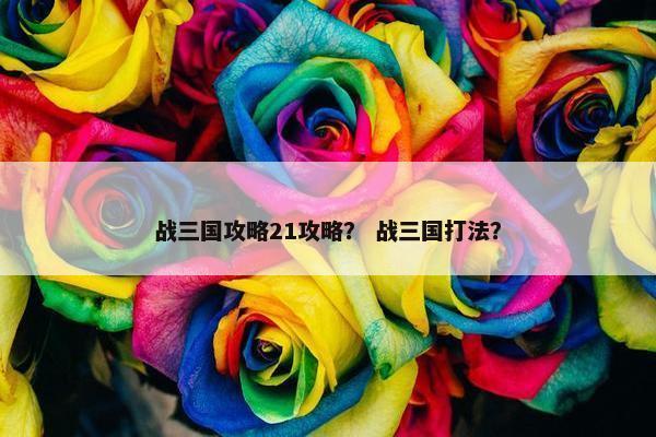 战三国攻略21攻略？ 战三国打法？