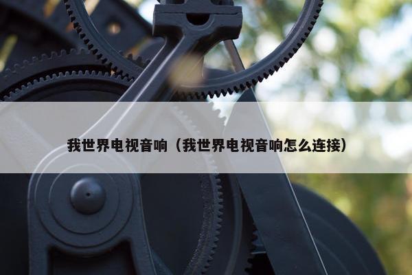 我世界电视音响（我世界电视音响怎么连接）