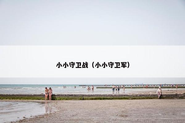 小小守卫战（小小守卫军）