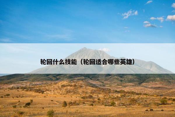 轮回什么技能（轮回适合哪些英雄）
