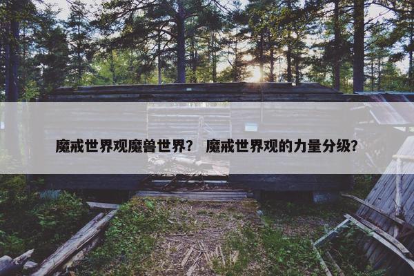 魔戒世界观魔兽世界？ 魔戒世界观的力量分级？