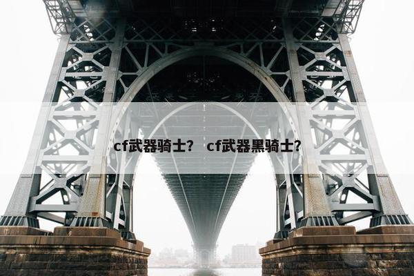 cf武器骑士？ cf武器黑骑士？