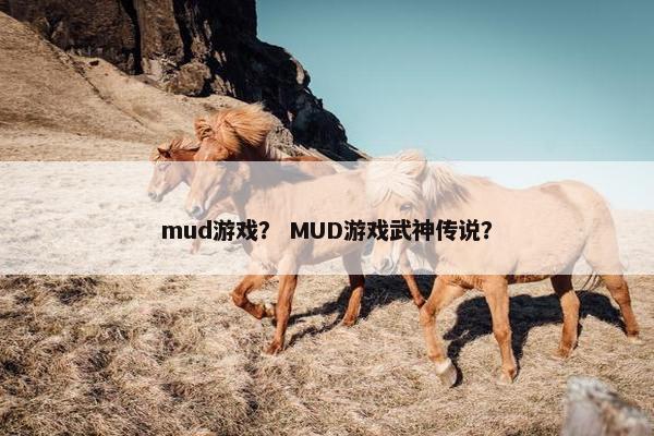 mud游戏？ MUD游戏武神传说？