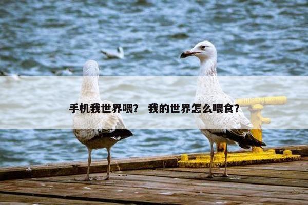 手机我世界喂？ 我的世界怎么喂食？