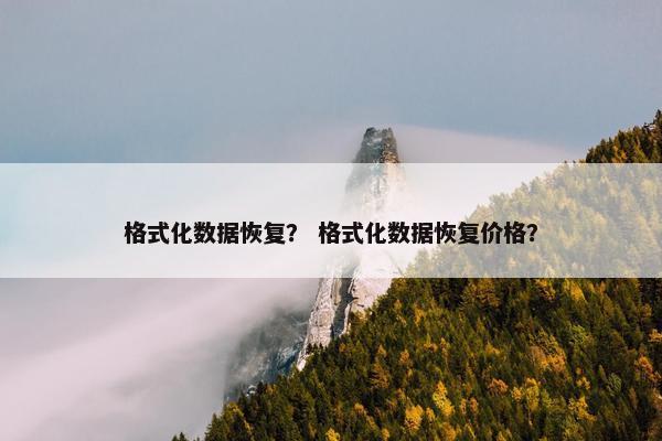 格式化数据恢复？ 格式化数据恢复价格？