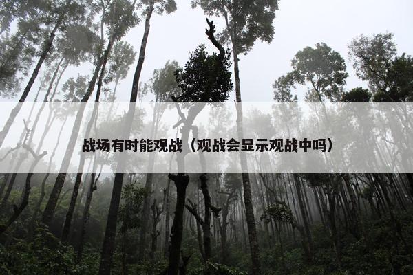 战场有时能观战（观战会显示观战中吗）