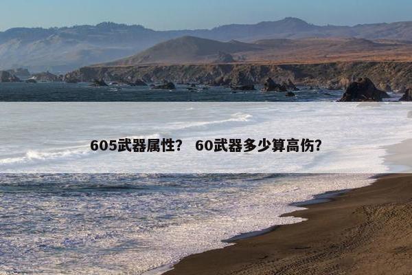 605武器属性？ 60武器多少算高伤？