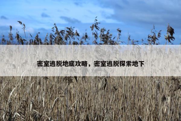 密室逃脱地底攻略，密室逃脱探索地下