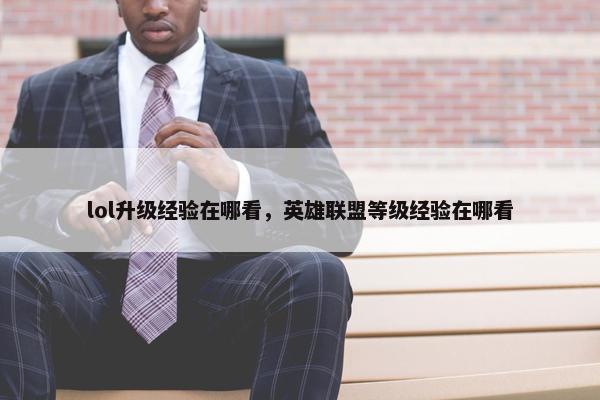 lol升级经验在哪看，英雄联盟等级经验在哪看