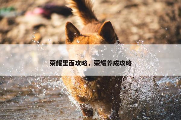 荣耀里面攻略，荣耀养成攻略