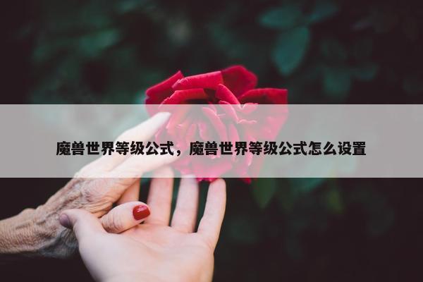 魔兽世界等级公式，魔兽世界等级公式怎么设置