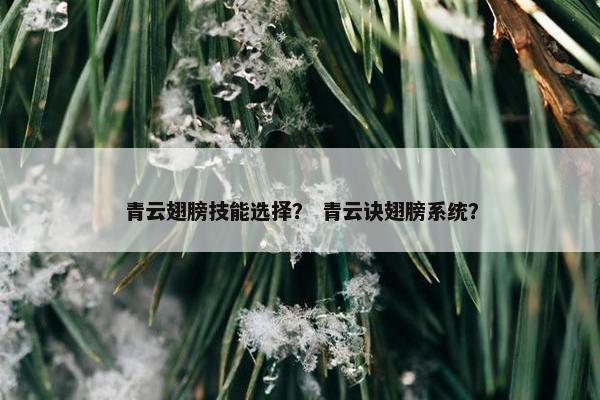 青云翅膀技能选择？ 青云诀翅膀系统？