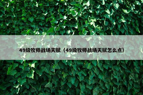 49级牧师战场天赋（49级牧师战场天赋怎么点）