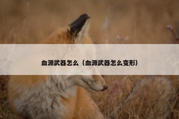 血源武器怎么（血源武器怎么变形）