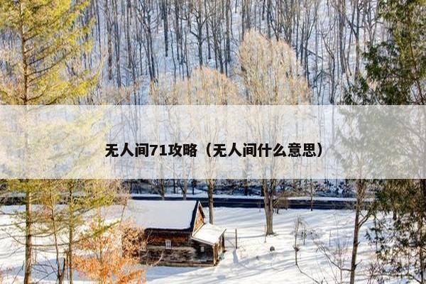 无人间71攻略（无人间什么意思）