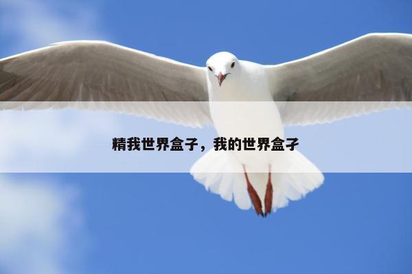 精我世界盒子，我的世界盒孑