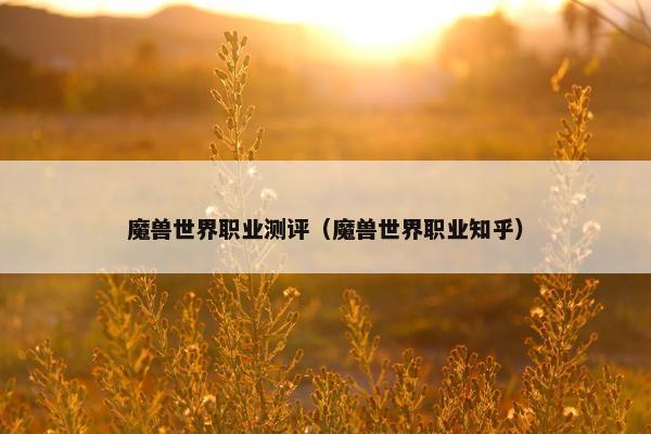 魔兽世界职业测评（魔兽世界职业知乎）