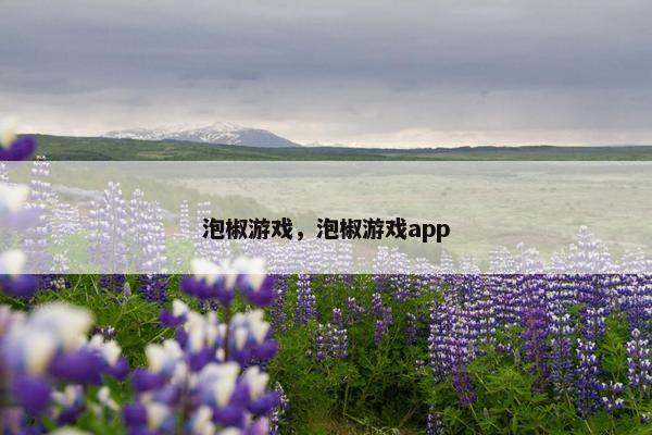 泡椒游戏，泡椒游戏app