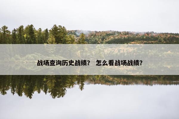 战场查询历史战绩？ 怎么看战场战绩？