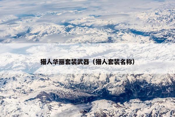 猎人华丽套装武器（猎人套装名称）