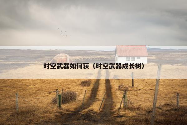 时空武器如何获（时空武器成长树）