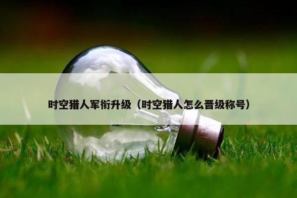 时空猎人军衔升级（时空猎人怎么晋级称号）