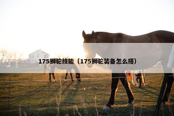 175狮驼技能（175狮驼装备怎么搭）