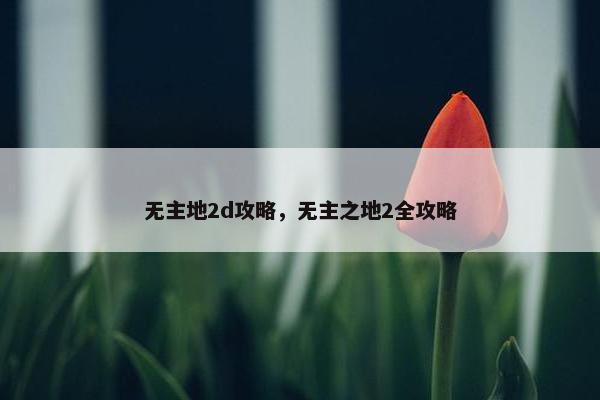无主地2d攻略，无主之地2全攻略