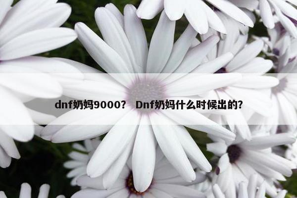 dnf奶妈9000？ Dnf奶妈什么时候出的？