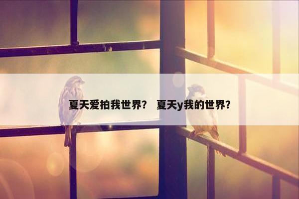 夏天爱拍我世界？ 夏天y我的世界？