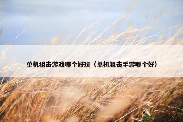 单机狙击游戏哪个好玩（单机狙击手游哪个好）
