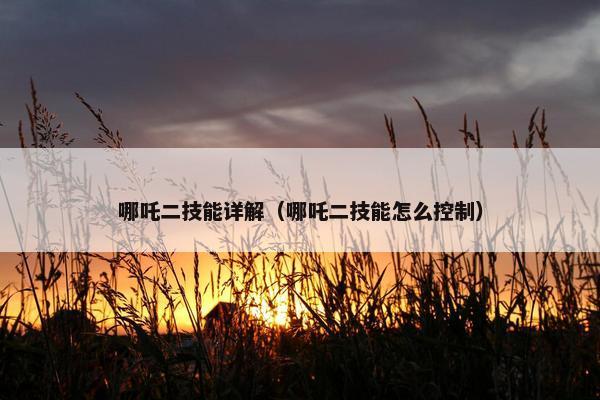 哪吒二技能详解（哪吒二技能怎么控制）