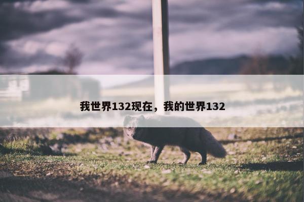 我世界132现在，我的世界132