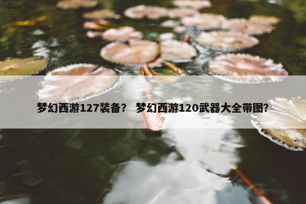 梦幻西游127装备？ 梦幻西游120武器大全带图？