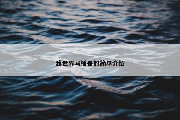 我世界马桶哥的简单介绍