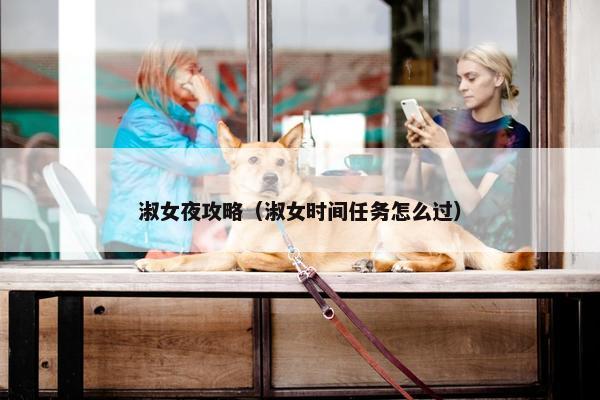 淑女夜攻略（淑女时间任务怎么过）