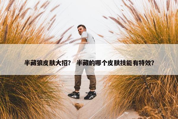 半藏狼皮肤大招？ 半藏的哪个皮肤技能有特效？
