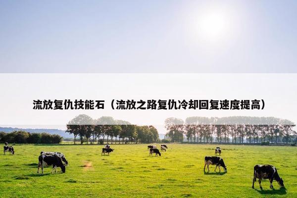 流放复仇技能石（流放之路复仇冷却回复速度提高）