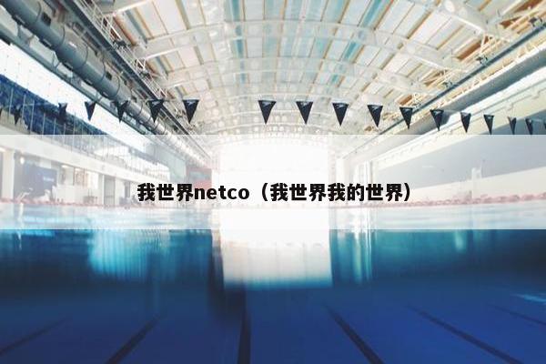 我世界netco（我世界我的世界）
