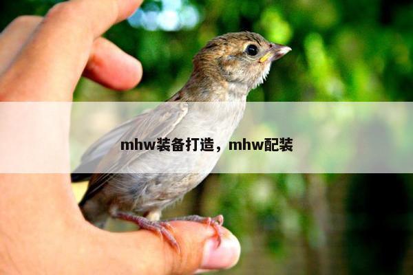 mhw装备打造，mhw配装